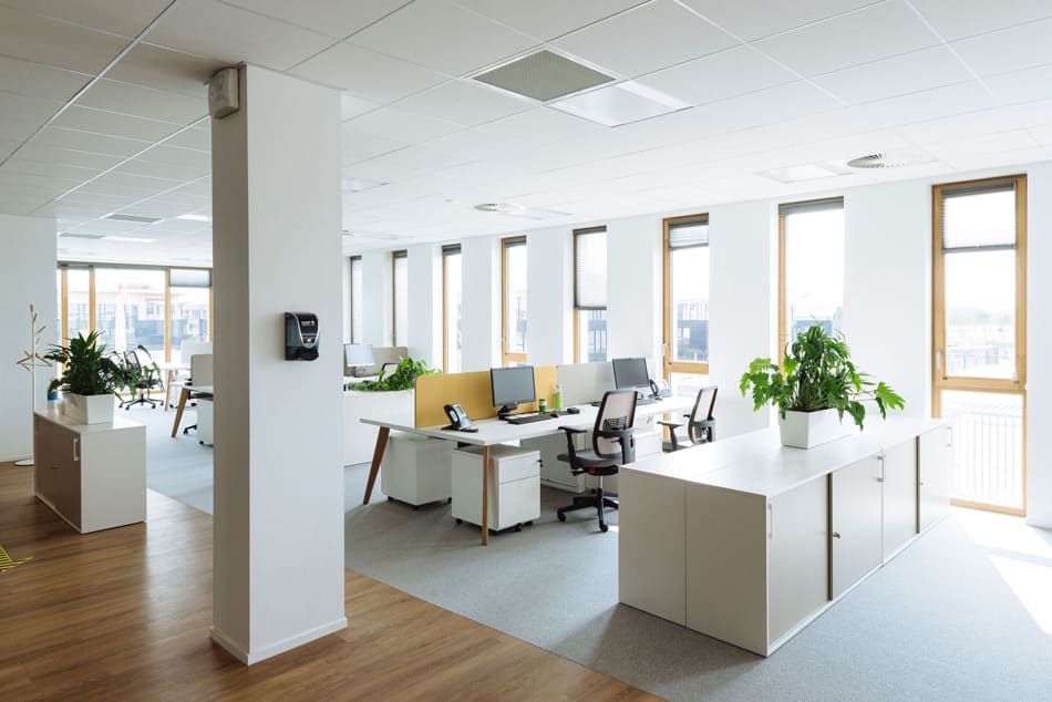 Mc Cain - Parc Racine² image 2