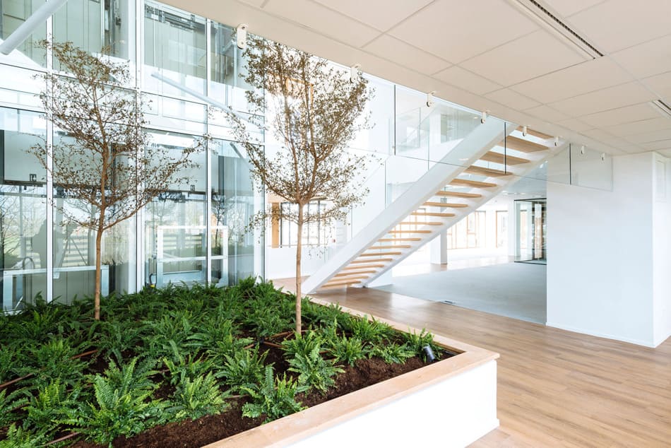 Mc Cain - Parc Racine² image 4