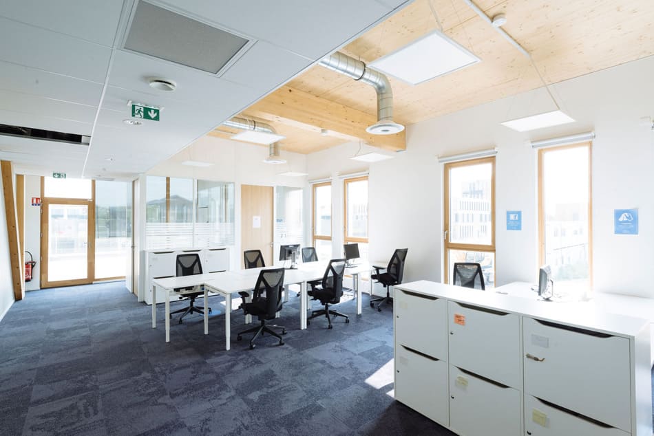 Jumeaux - Parc Racine² image 3