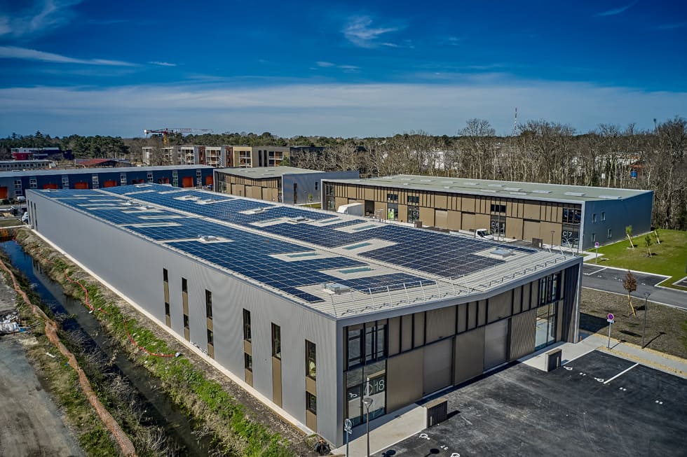 Aventim référence : Cedrus